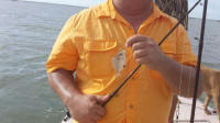 port aransas fishing pics