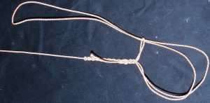 pl11.jpg (5220 bytes)