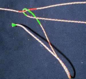 pl2.jpg (16650 bytes)