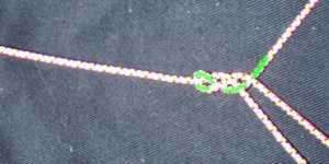 pl6.jpg (6815 bytes)