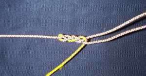 pl9.jpg (9556 bytes)