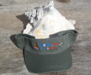 olive visor